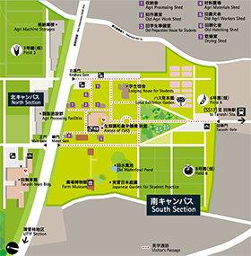 Access map